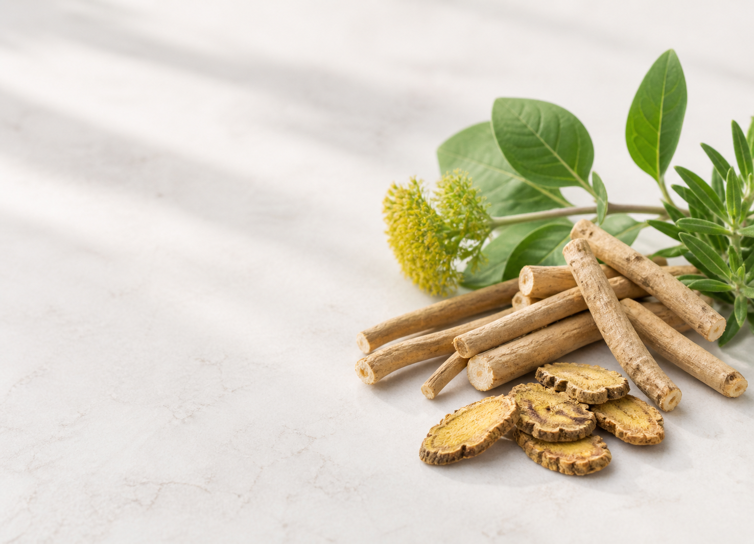 Adaptogen roots and botanical supplement comparison notes