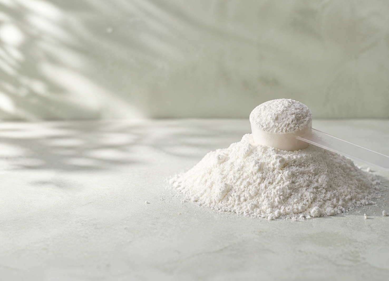 Creatine powder supplement comparison still life
